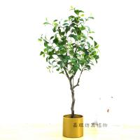 uploads/erp/collection/images/Home Garden/dgjiawang/XU0612934/img_b/XU0612934_img_b_2